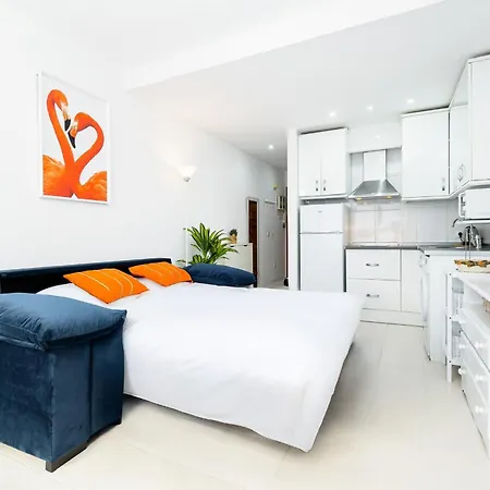 Flamingos * Торрев'єха