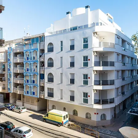 Flamingos Торрев'єха