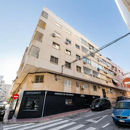 Flamingos * トレビエハ